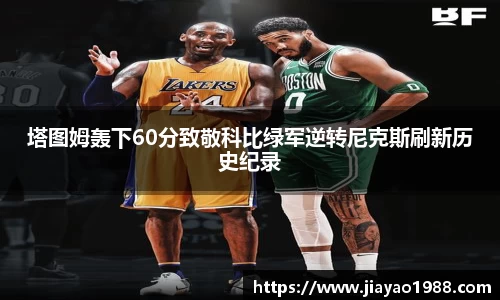 55世纪官网