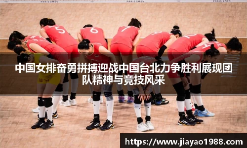 55世纪官网